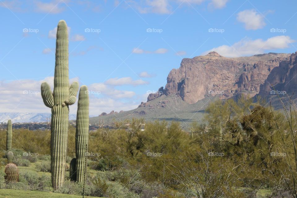 Superstition Mountain in Arizona Desert