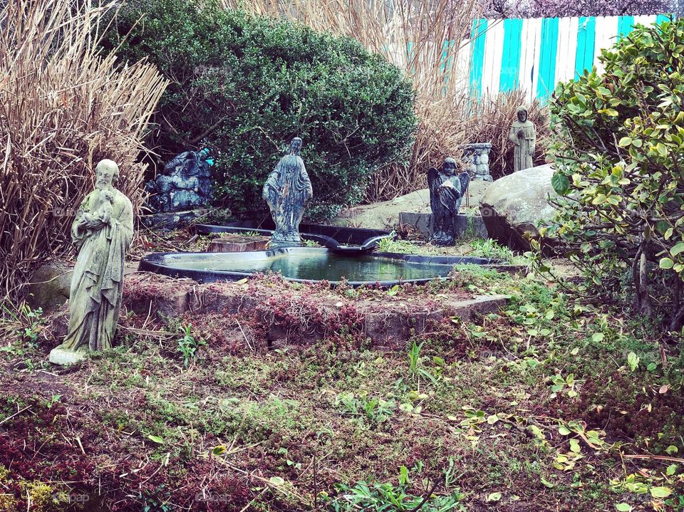 Pond that is beautiful. 