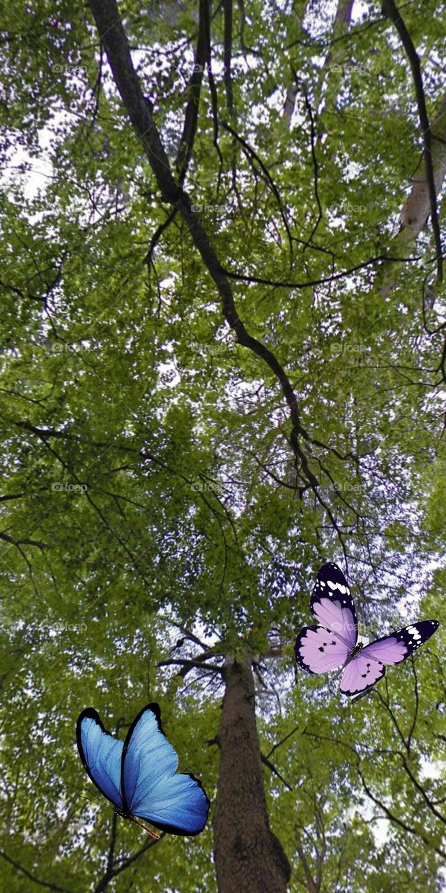 Che phủ một màu.