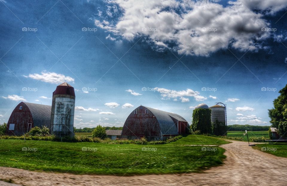 Farm. Barns and Silo 