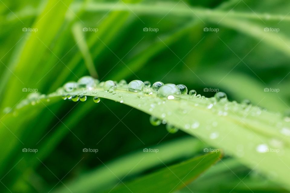 water droplets
