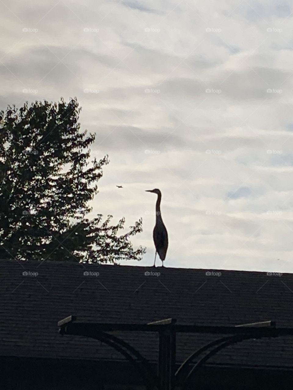 Nature at it’s best