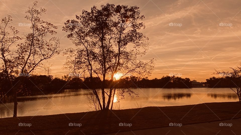 Here we have the Continued Wild Colours Subtle greens, blues, occasionally bits of lots if colours. 