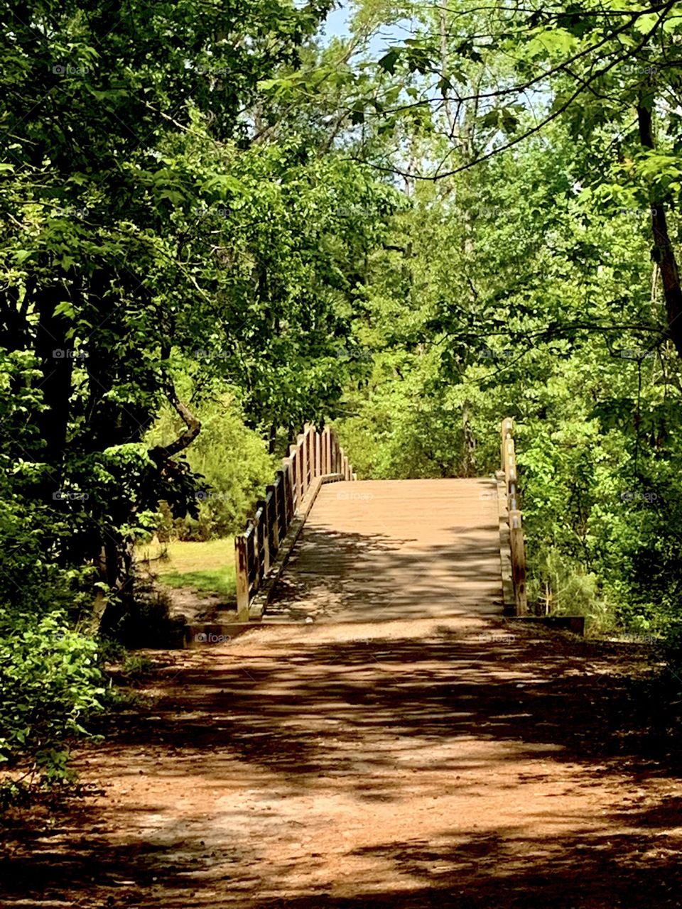 Over the bridge 