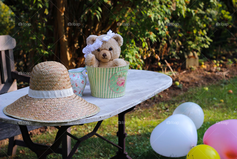 teddy garden summer birthday