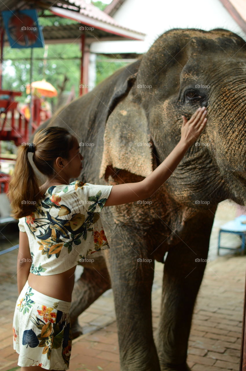 woman and elephant in bangkok thailand