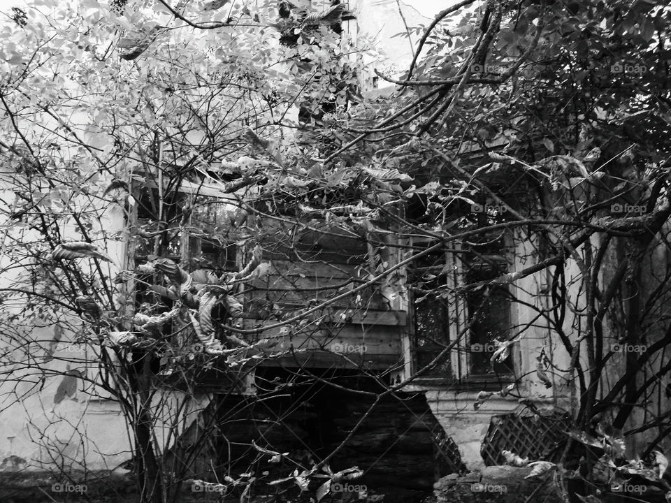 old abandoned building in Zhytomyr region, autumn 2018 (house Tereshchenkov)