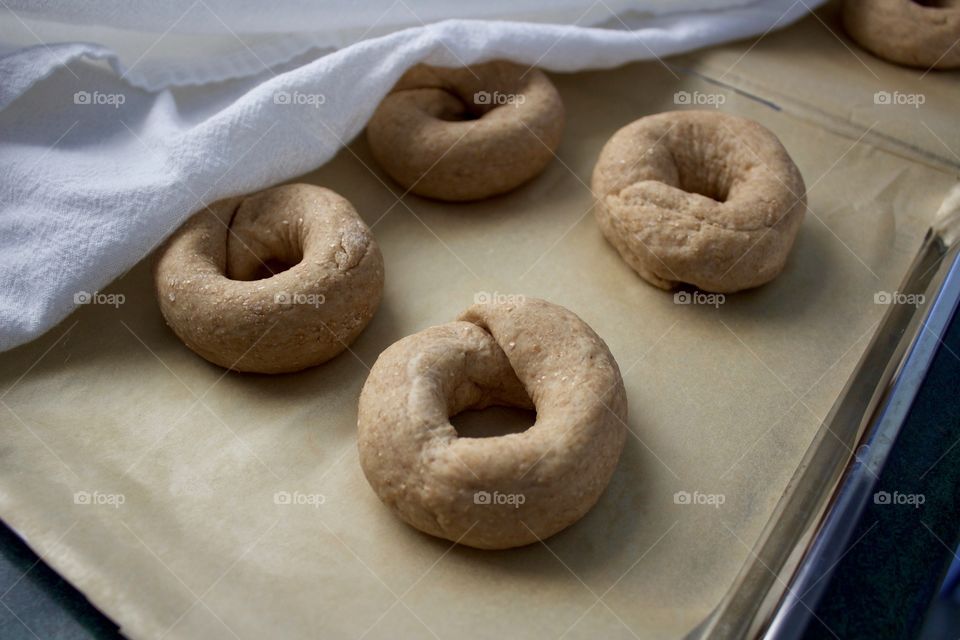 Sourdough spelt and whole wheat dough for bagels on parchment paper, being covered with a flour-sack towel to rise 