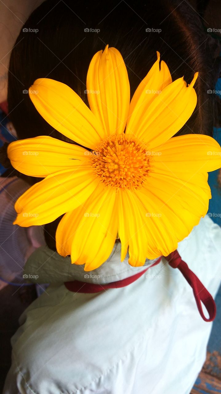 yellow flower