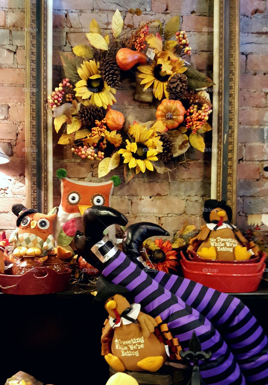 Designed for Fall. Taken in a small shop, I loved the witches feet as my interpretation is the witch is dead costume, now thanksgiving.