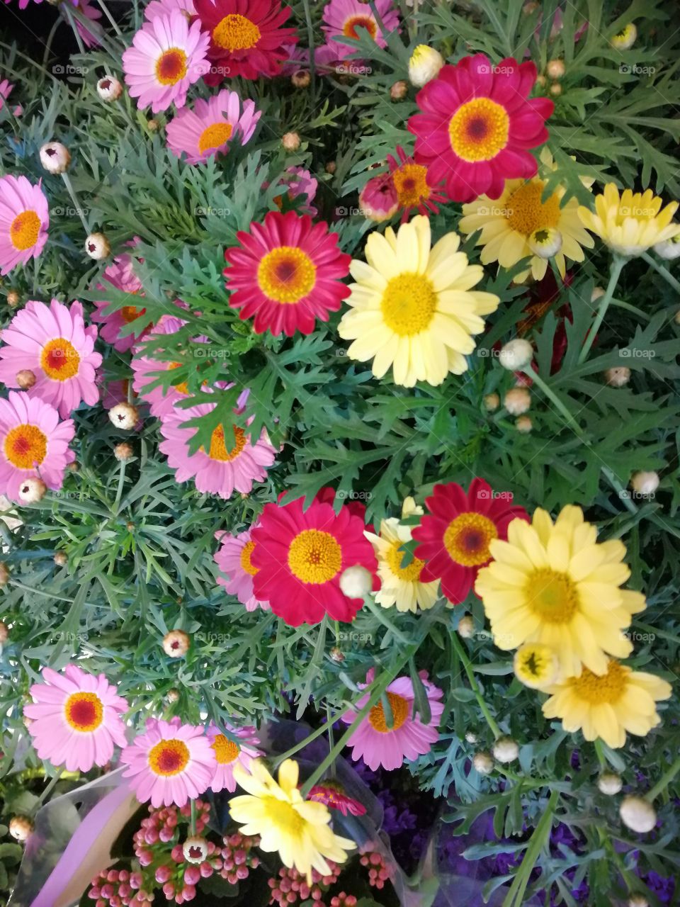 beautiful colors 💕