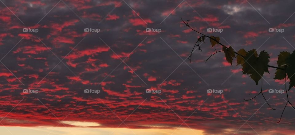 Sonnenuntergang in Zipf