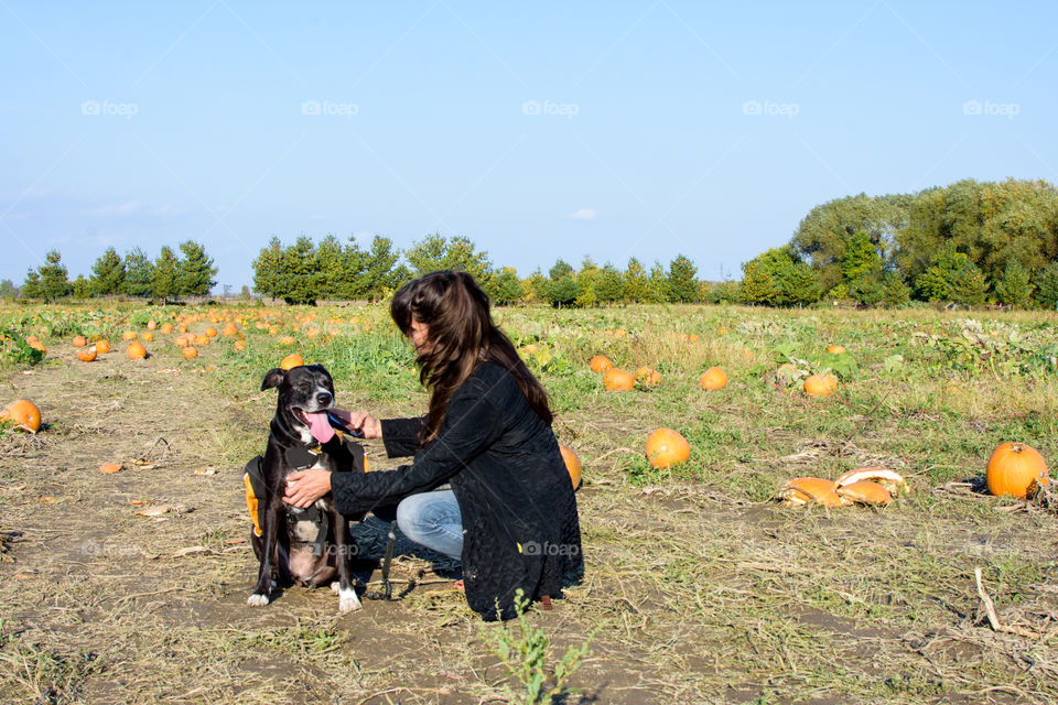 Woman with dog in a pumpkin patch healthy outdoor activity fall harvest outdoor Halloween and Thanksgiving activity 