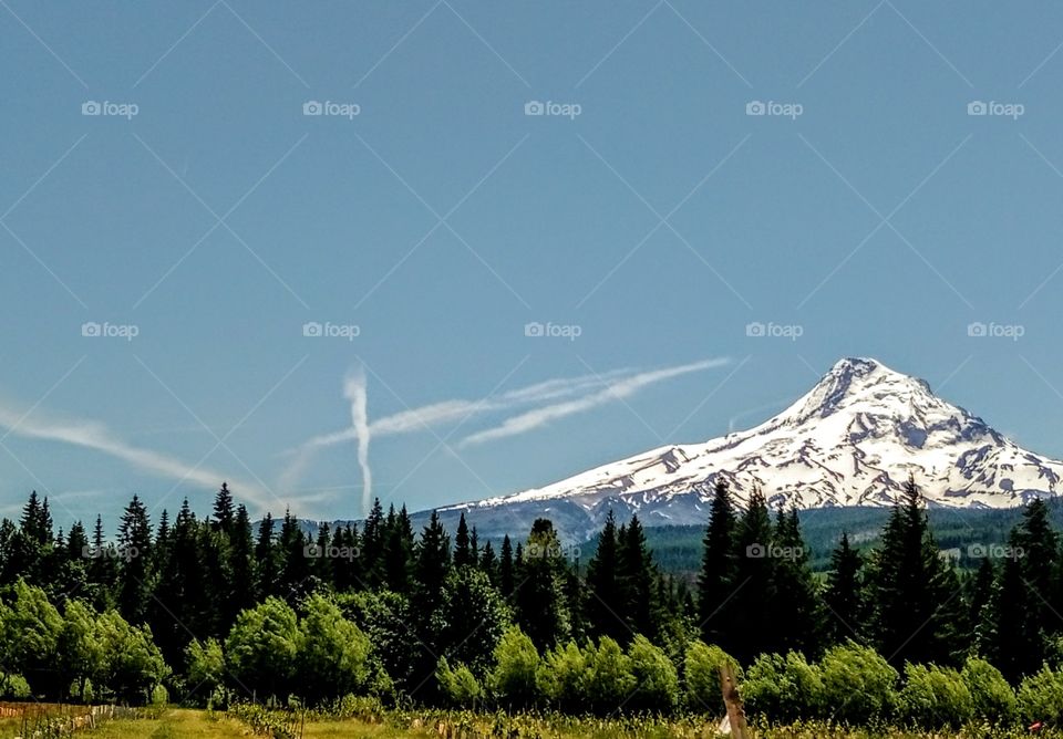 Mt Hood
