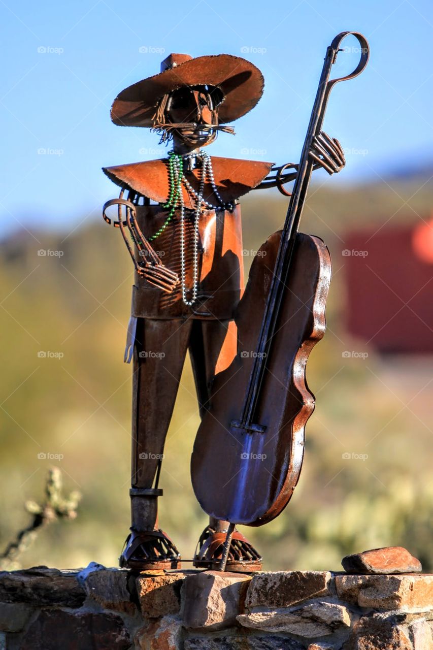 Desert Musician 