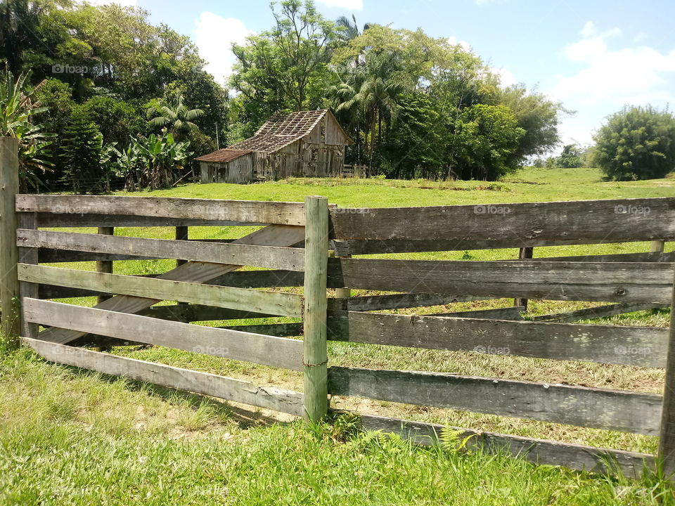 PASTO PORTÃO RANCHO