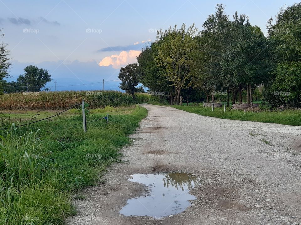 countryside after the rain