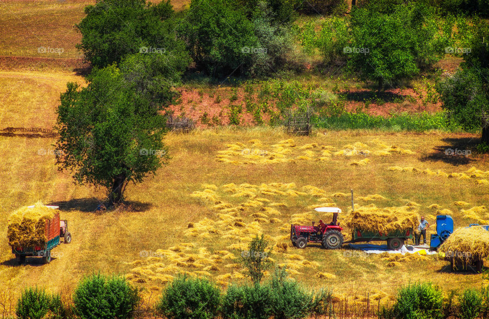 Tractors working on the field