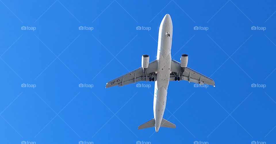 plane flying over a lisbon park