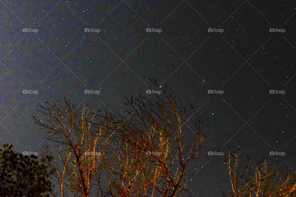 1st attempt at a long exposure for star photo. 🤷‍♂️