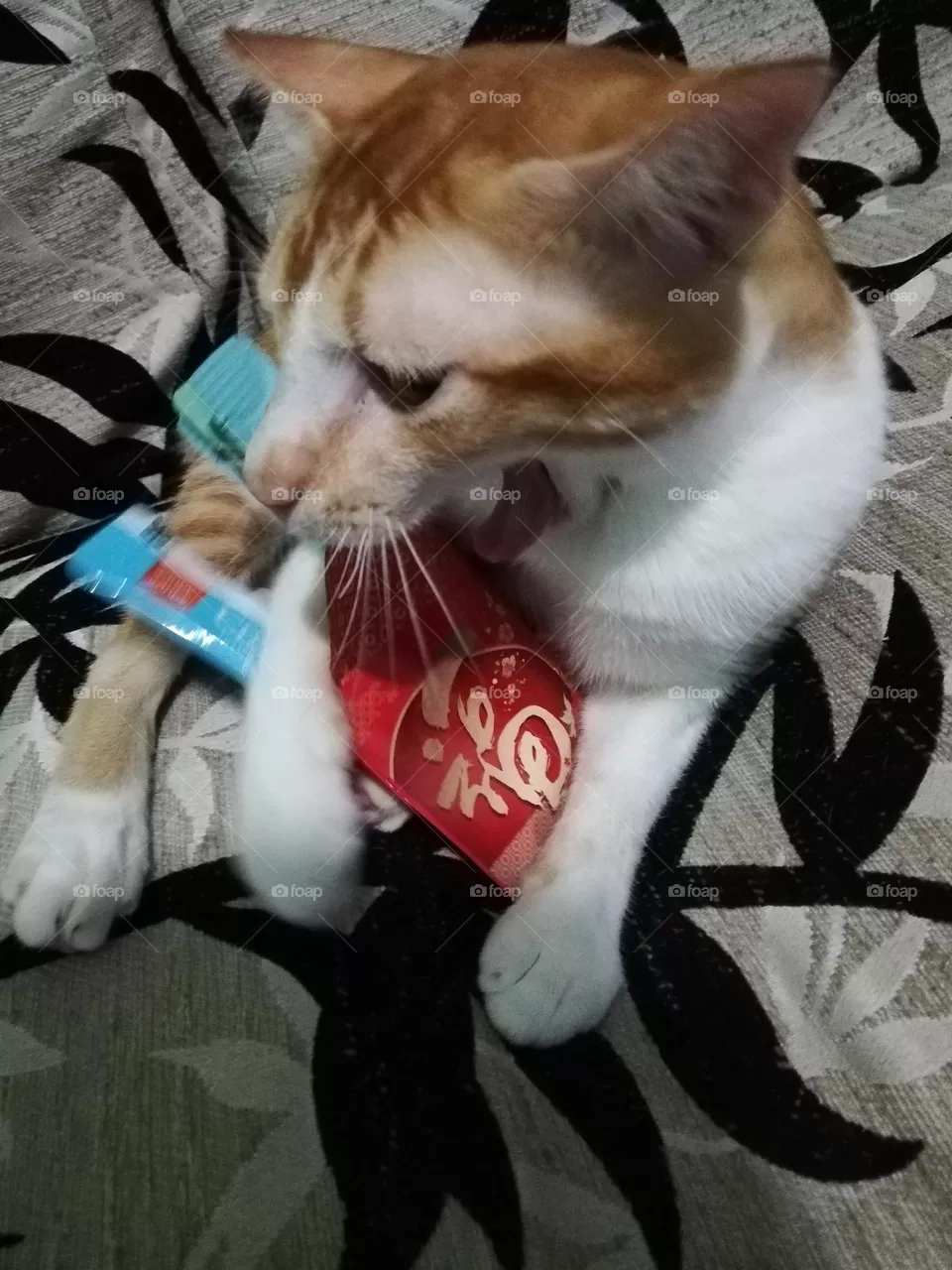 Zzzzzzz