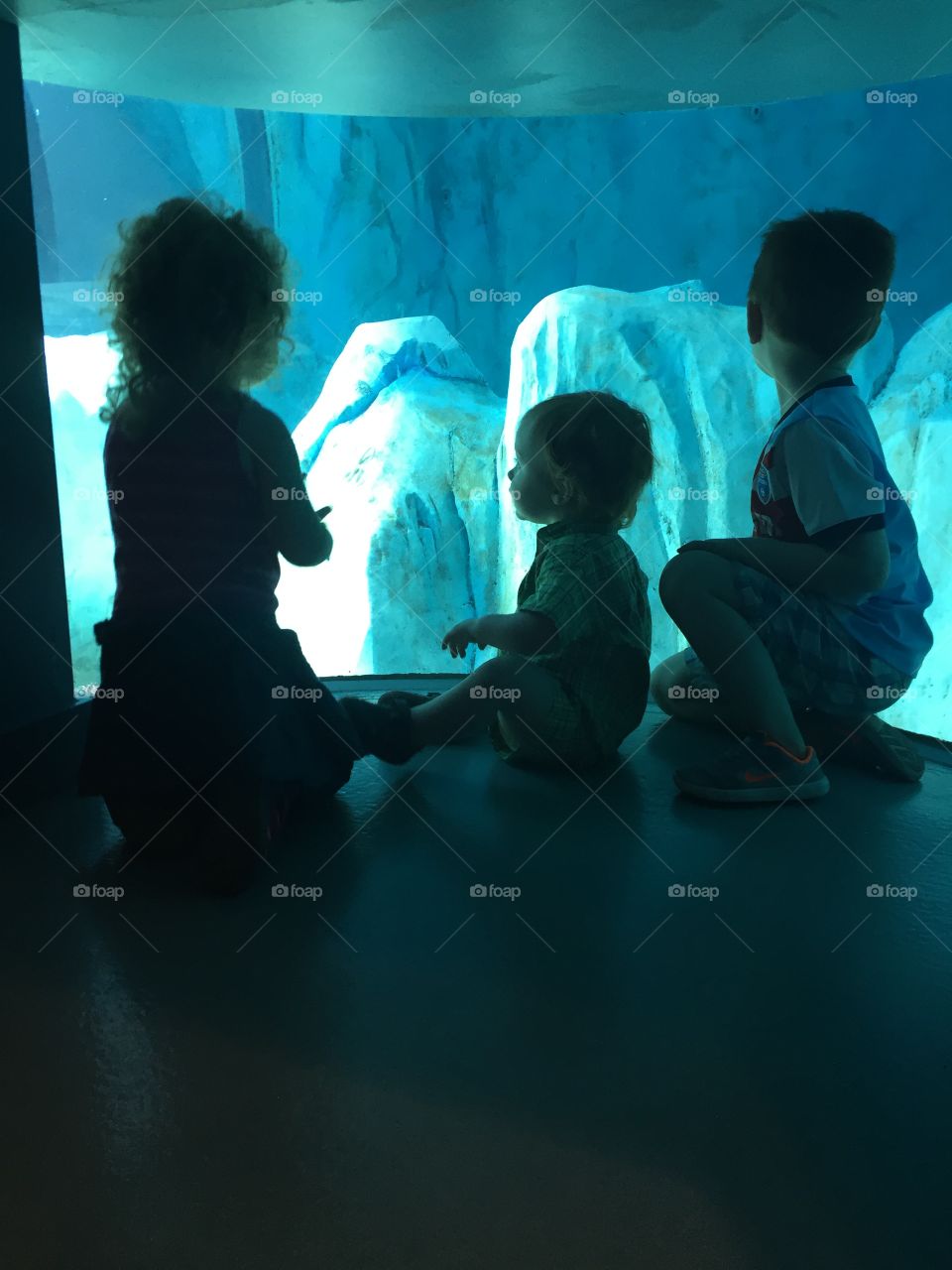 Kids aquarium 