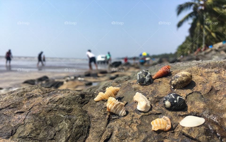 Famous seashore in Mumbai - Gorai