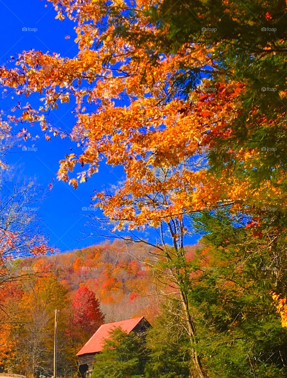 The beautiful colors of the Blue Ridge