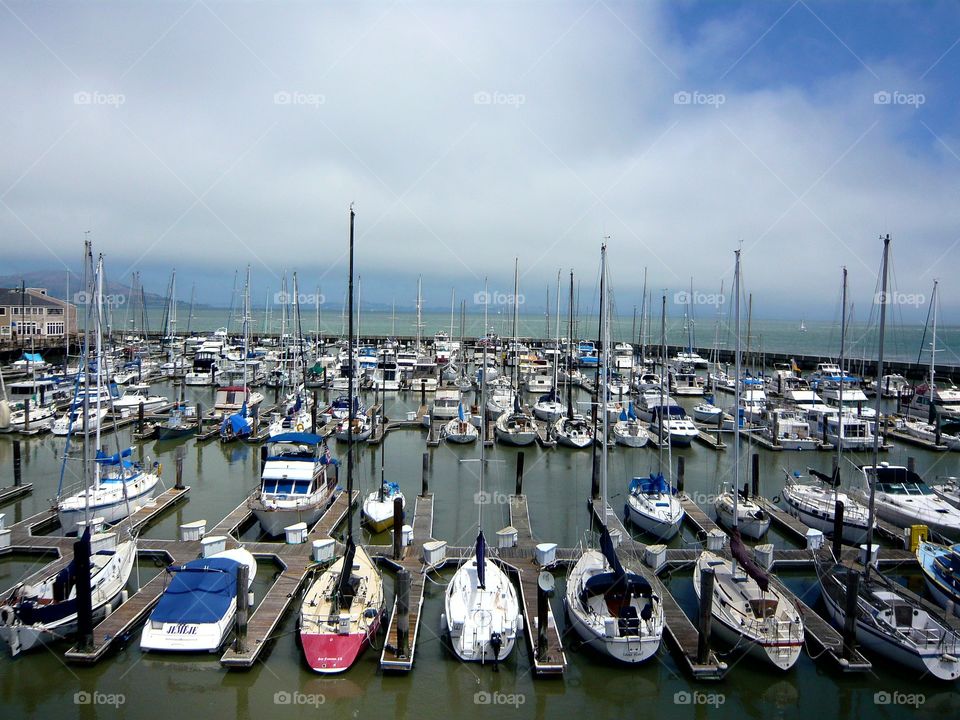 Foggy morning at harbor