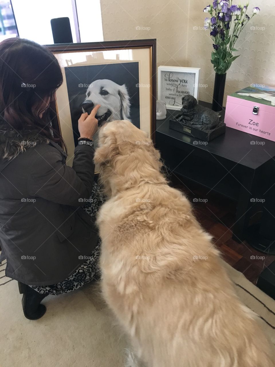 One, People, Room, Dog, Family