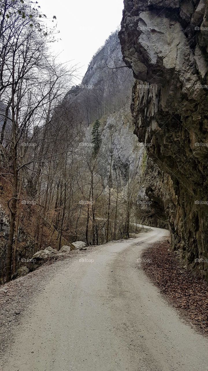 the road to the Polovragi cave, Romania