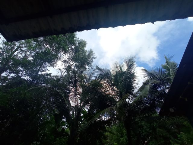 nature