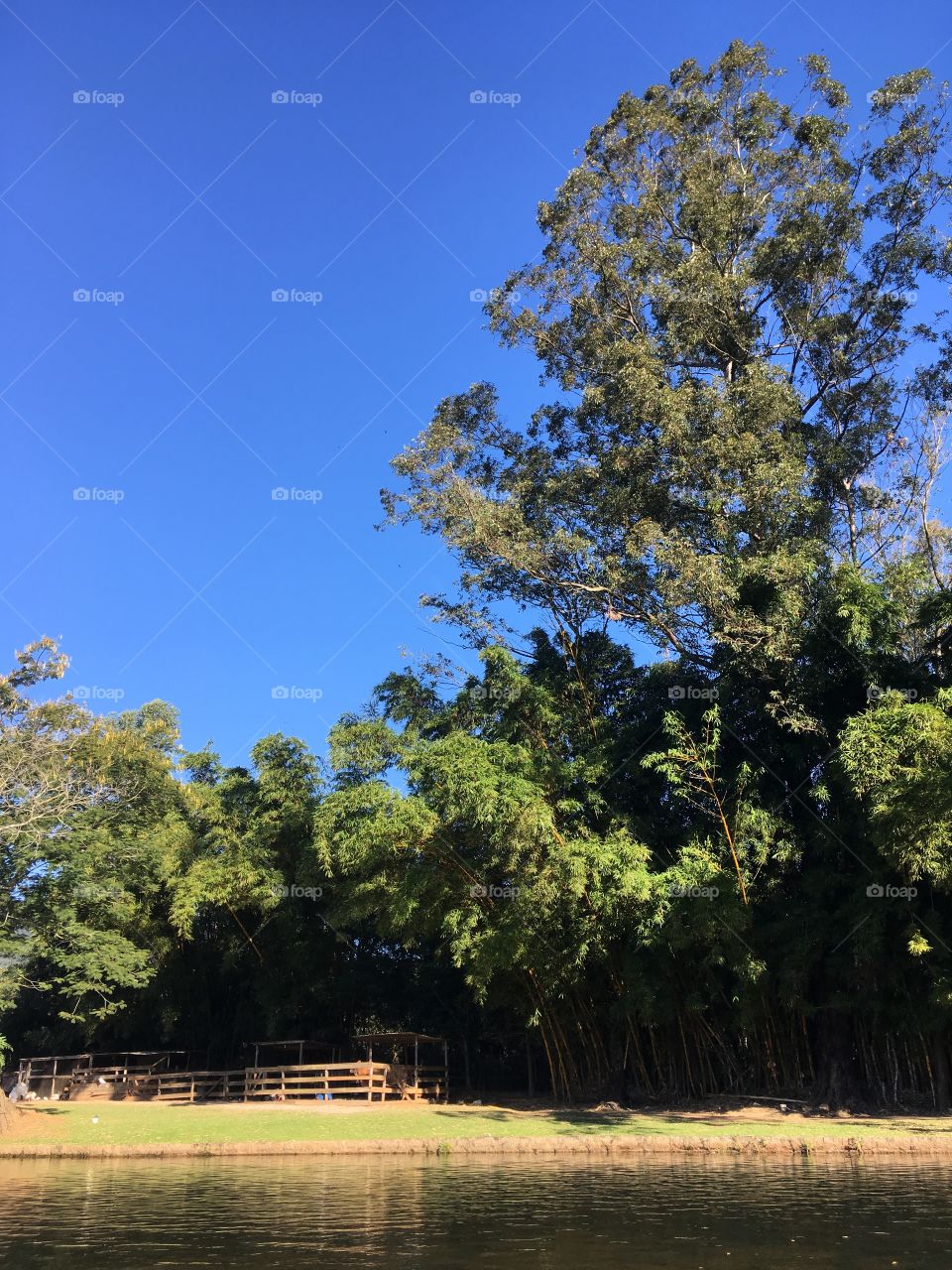 Que céu maravilhoso na Serra do Japi! Viva Jundiaí, a Terra da Uva e próspera cidade do Brasil!