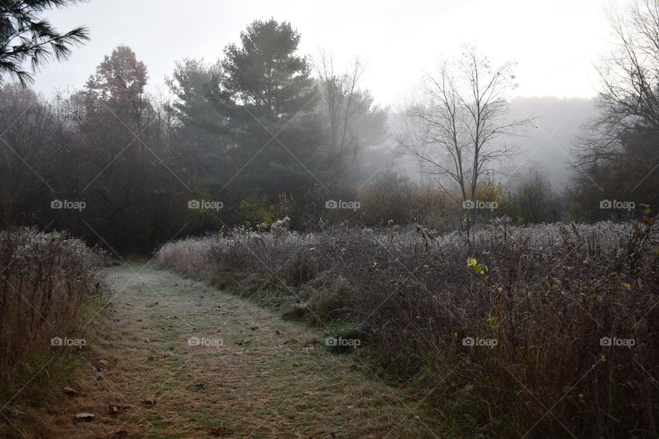 Frost and fog on a cool fall morning