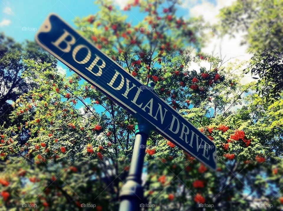 Bob Dylan Drive