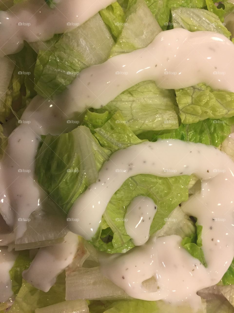 Fresh salad from lettuce and ranch