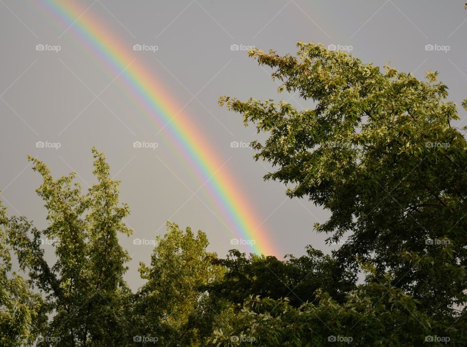 colour rainbow 🌈 nature natural beauty