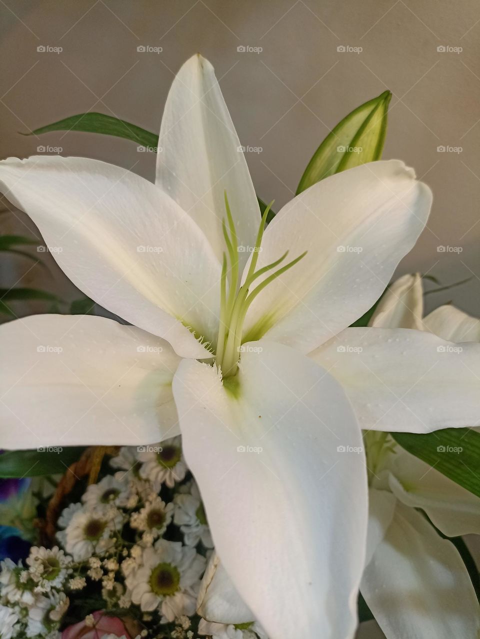 night with white in color