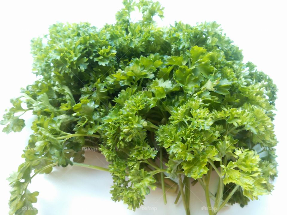 green parsley