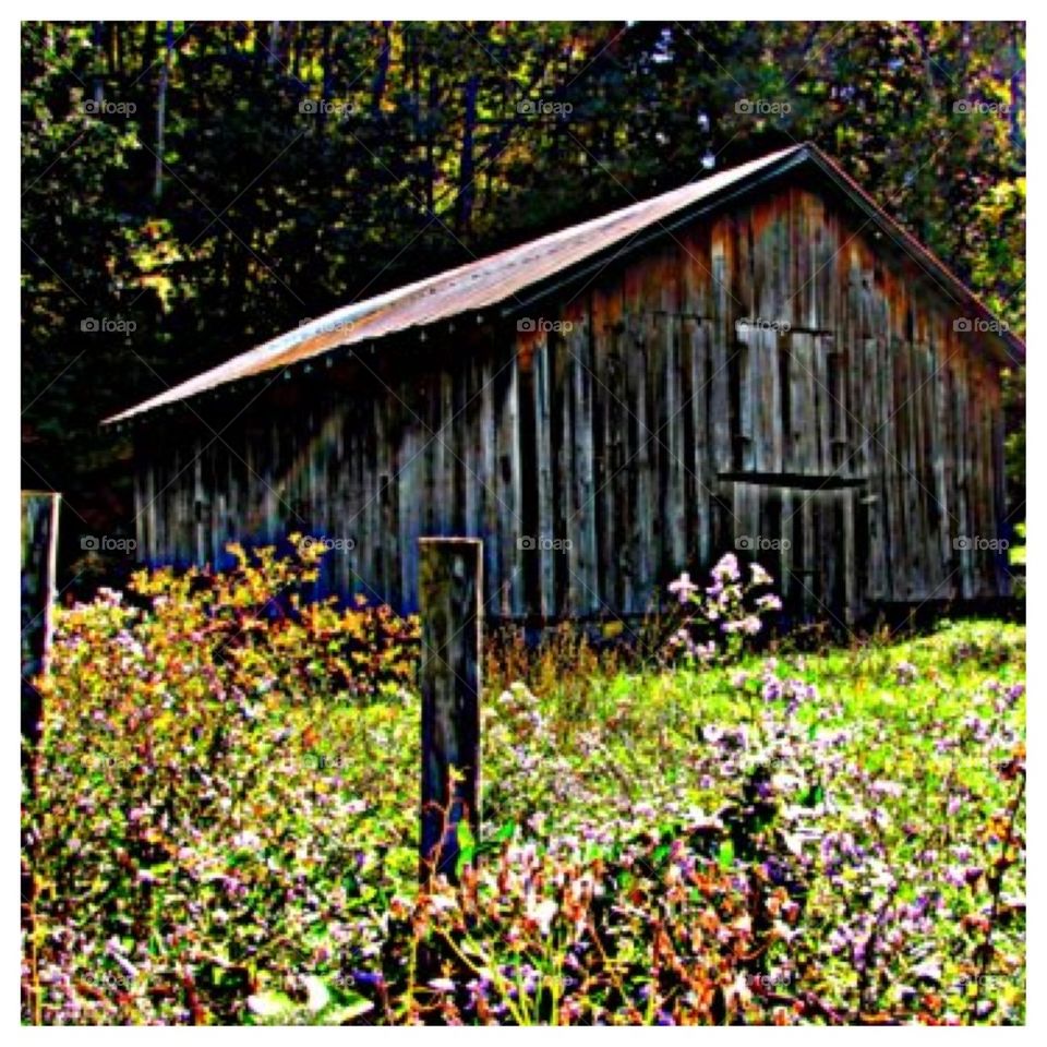 Old Tobacco Barn