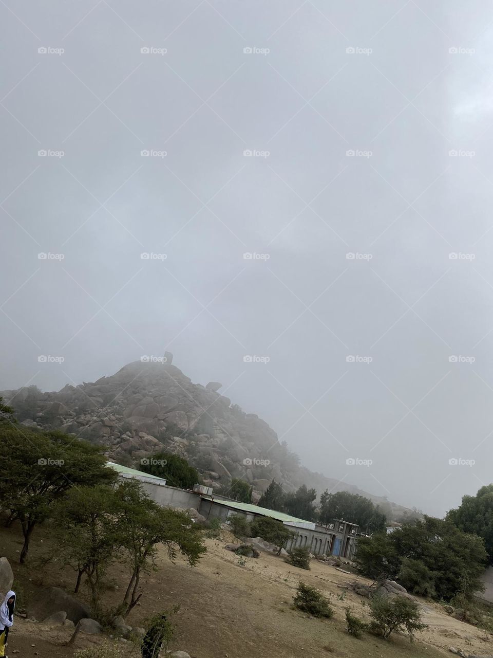 Amazing photo for trip with rain 🌲🌧