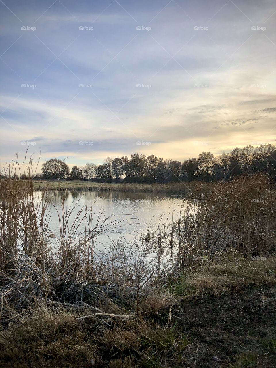 A fall evening at the ponds edge.