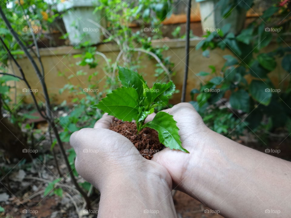 Gardening