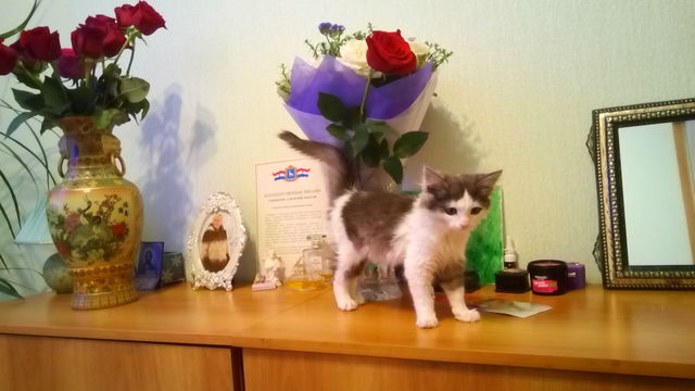 Кузя