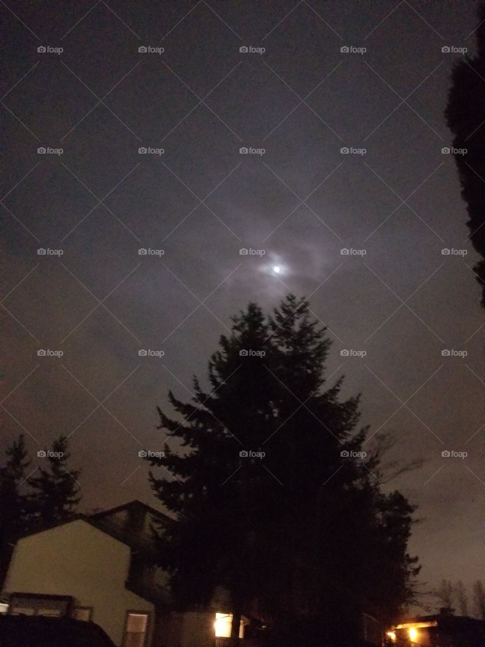 it's a full moon...while it supposed to be