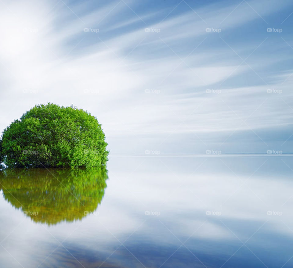 Travel around the world