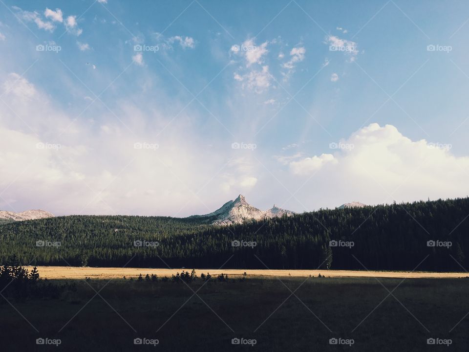 Summer at Yosemite National Park