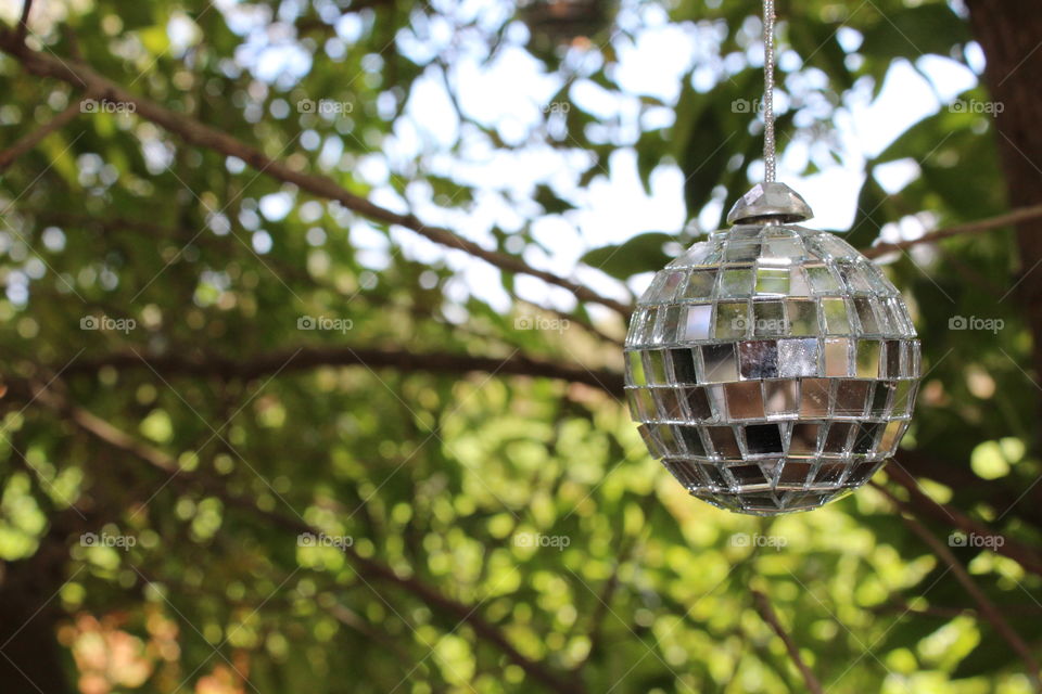 Mirror ball in the garden