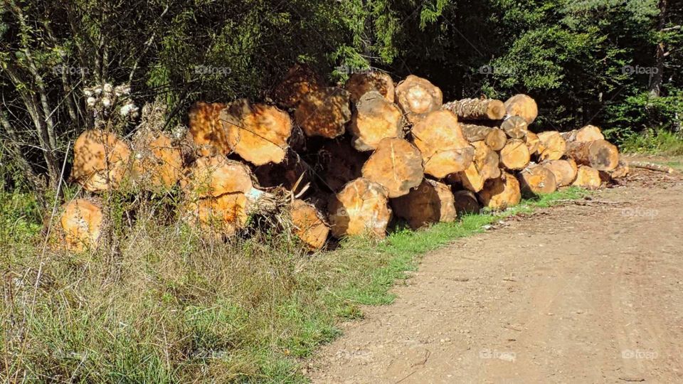 Log of wood for heating