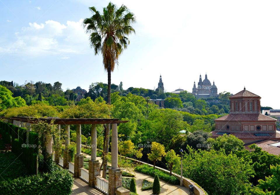The Gardens of Montjuïc, Barcelona